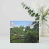 Palmenbaum Postkarte (Stehend Vorderseite)