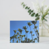 Palmenbaum-Postkarte Postkarte (Stehend Vorderseite)