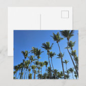 Palmenbaum-Postkarte Postkarte (Vorne/Hinten)