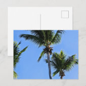 Palmenbaum-Postkarte Postkarte (Vorne/Hinten)