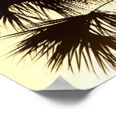 Palmenbaum, Sonnenaufgang, Florida Poster (Ecke)