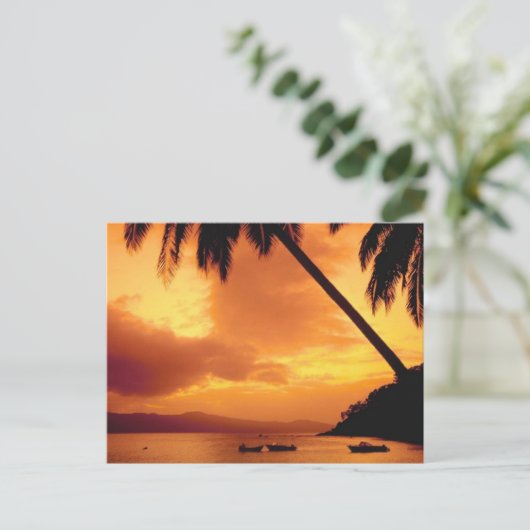 Palmenbaum über Wasser Postkarte (Stehend Vorderseite)