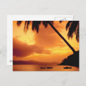 Palmenbaum über Wasser Postkarte (Vorne/Hinten)