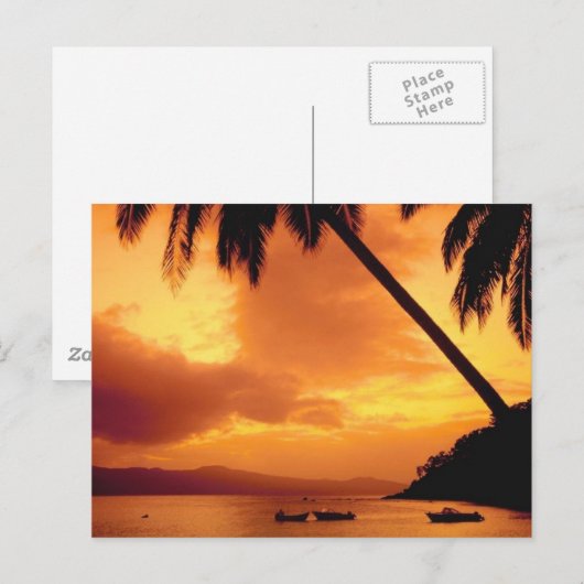 Palmenbaum über Wasser Postkarte (Vorne/Hinten)