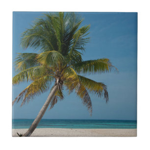 Palmenbaum und weißer Sandstrand 2 Fliese