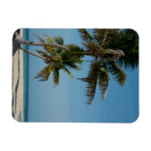 Palmenbaum und weißer Sandstrand Magnet (Horizontal)