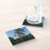 Palmenbaum unter einem klaren Himmel versetzen Glasuntersetzer (Schrägansicht)