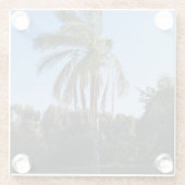 Palmenbaum unter einem klaren Himmel versetzen Glasuntersetzer (Rückseite)