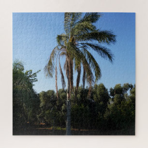 Palmenbaum unter einem klaren Himmel versetzen Puzzle