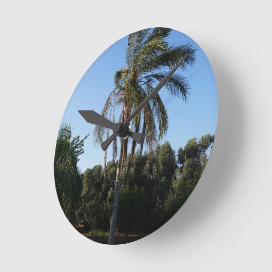 Palmenbaum unter einem klaren Himmel versetzen Runde Wanduhr (Winkel)