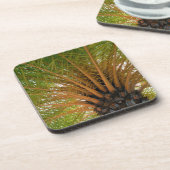 Palmenbaum Unterseite Getränkeuntersetzer (Linke Seite)