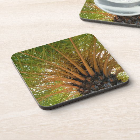 Palmenbaum Unterseite Getränkeuntersetzer (Linke Seite)