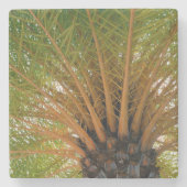 Palmenbaum Unterseite Steinuntersetzer (Vorderseite)