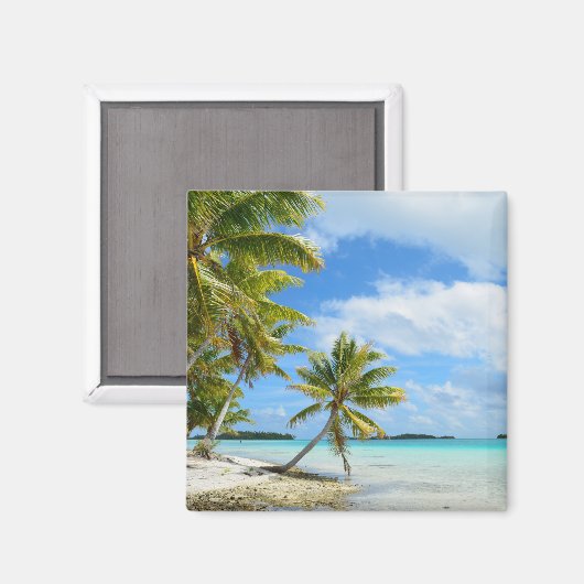 Palmenbaum, weißer Sandmagnet Magnet (Vorderseite/Rückseite)