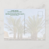 Palmenbaumgewächse Wanderung Besucherzentrum See M Postkarte (Rückseite)