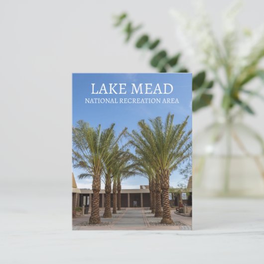 Palmenbaumgewächse Wanderung Besucherzentrum See M Postkarte (Stehend Vorderseite)