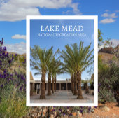 Palmenbaumgewächse Wanderung Besucherzentrum See M Postkarte