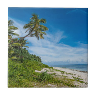 Palmenbestandene Kolovai-Strand Fliese