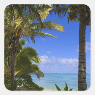 Palmenbestandene Strand Cook Islands 2 Quadratischer Aufkleber