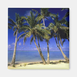 Palmenbestandene Strand Cookinseln 4 Magnet