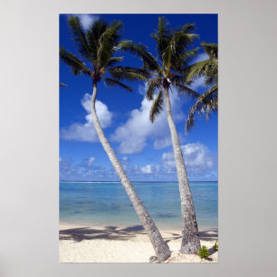 Palmenbestandene Strand Cookinseln Poster