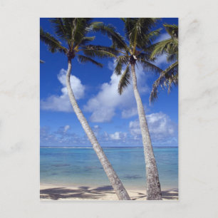 Palmenbestandene Strand Cookinseln Postkarte