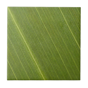 Palmenblatt Fliese