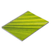 Palmenblatt Notizblock (Linke Seite)