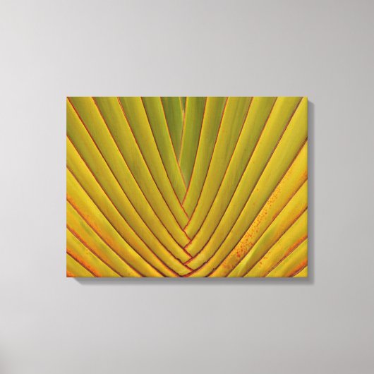 Palmenblätter Leinwanddruck (Vorderseite)