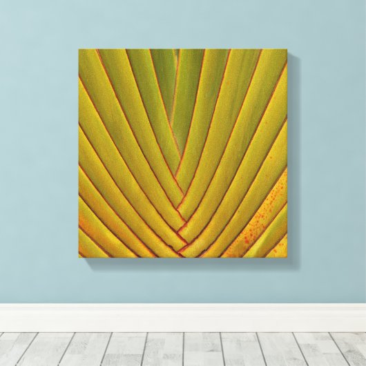 Palmenblätter Leinwanddruck (Insitu (Holzboden))