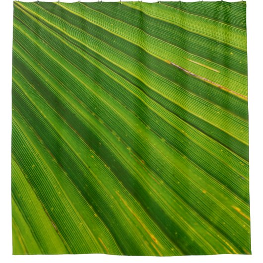 Palmenblätterpalmen Duschvorhang (Vorderseite)