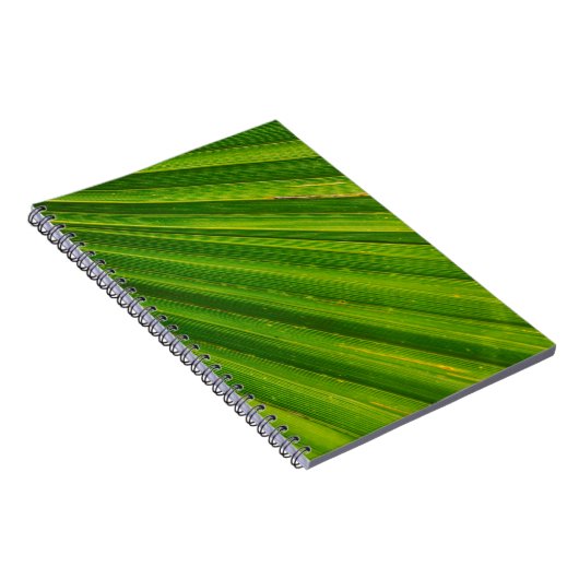 Palmenblätterpalmen Notizblock (Rechte Seite)