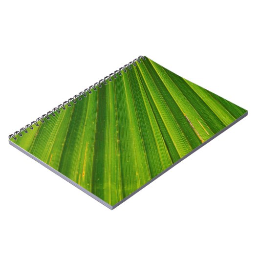 Palmenblätterpalmen Notizblock (Linke Seite)