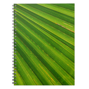 Palmenblätterpalmen Notizblock