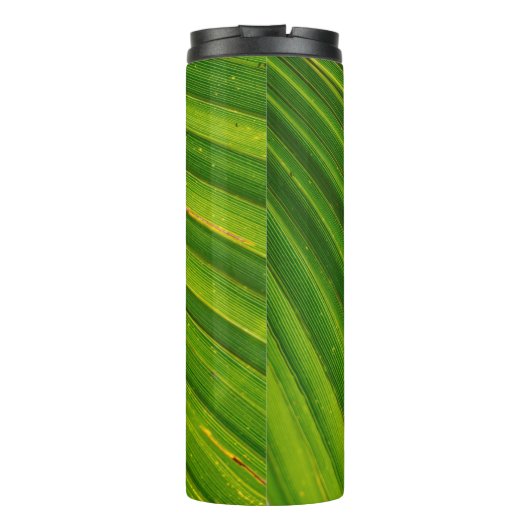 Palmenblätterpalmen Thermosbecher (Rückseite)