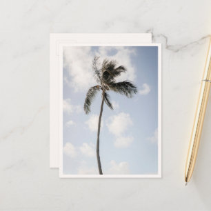 Palmenfoto Tropischer Strand Hawaii Postkarte