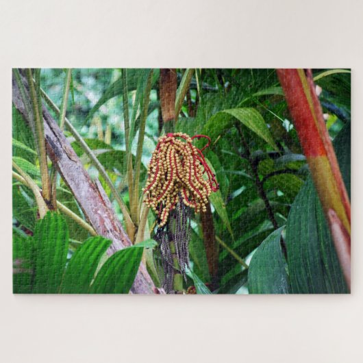 Palmenfrucht in Hawaii Puzzle (Horizontal)