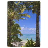 Palmengesäumter Strand Cook Inseln 2 Klemmbrett (Rückseite)