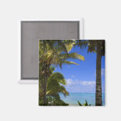 Palmengesäumter Strand Cook Inseln 2 Magnet (Vorderseite/Rückseite)