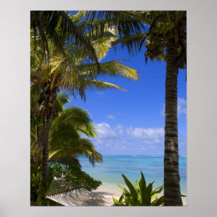 Palmengesäumter Strand Cook Inseln 2 Poster
