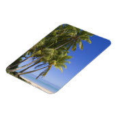 Palmengesäumter Strand Cook Inseln 3 Magnet (Linke Seite)