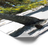 Palmengesäumter Strand Cook Inseln 3 Poster (Ecke)