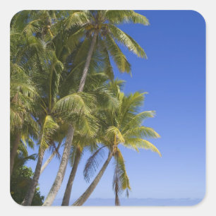 Palmengesäumter Strand Cook Inseln 3 Quadratischer Aufkleber