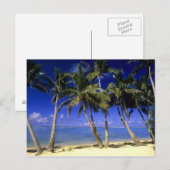 Palmengesäumter Strand Cook Inseln 4 Postkarte (Vorne/Hinten)
