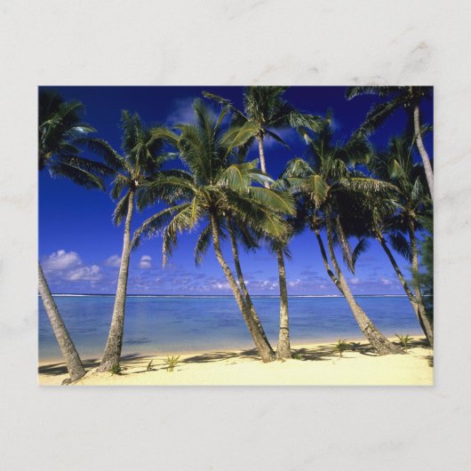Palmengesäumter Strand Cook Inseln 4 Postkarte (Vorderseite)