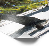 Palmengesäumter Strand Cook Inseln 5 Fotodruck (Ecke)