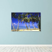 Palmengesäumter Strand Cook Inseln 6 Leinwanddruck (Insitu (Holzboden))