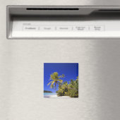 Palmengesäumter Strand Cook Inseln 7 Magnet (In Situ (Geschirrspüler))