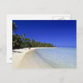 Palmengesäumter Strand Cook Inseln 8 Postkarte (Vorne/Hinten)