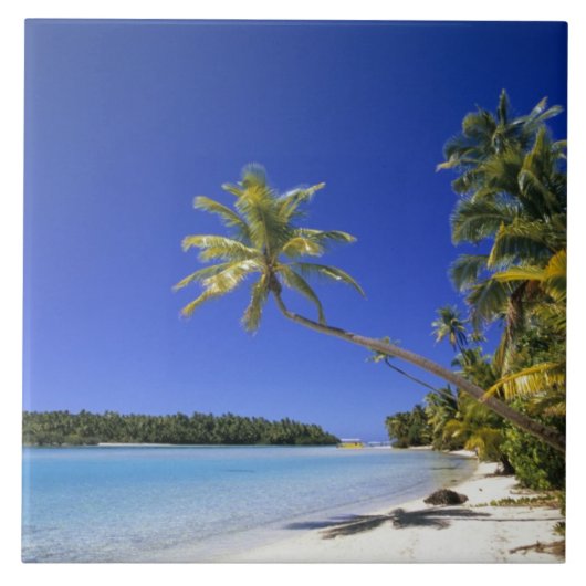 Palmengesäumter Strand Cook Inseln Fliese (Vorderseite)